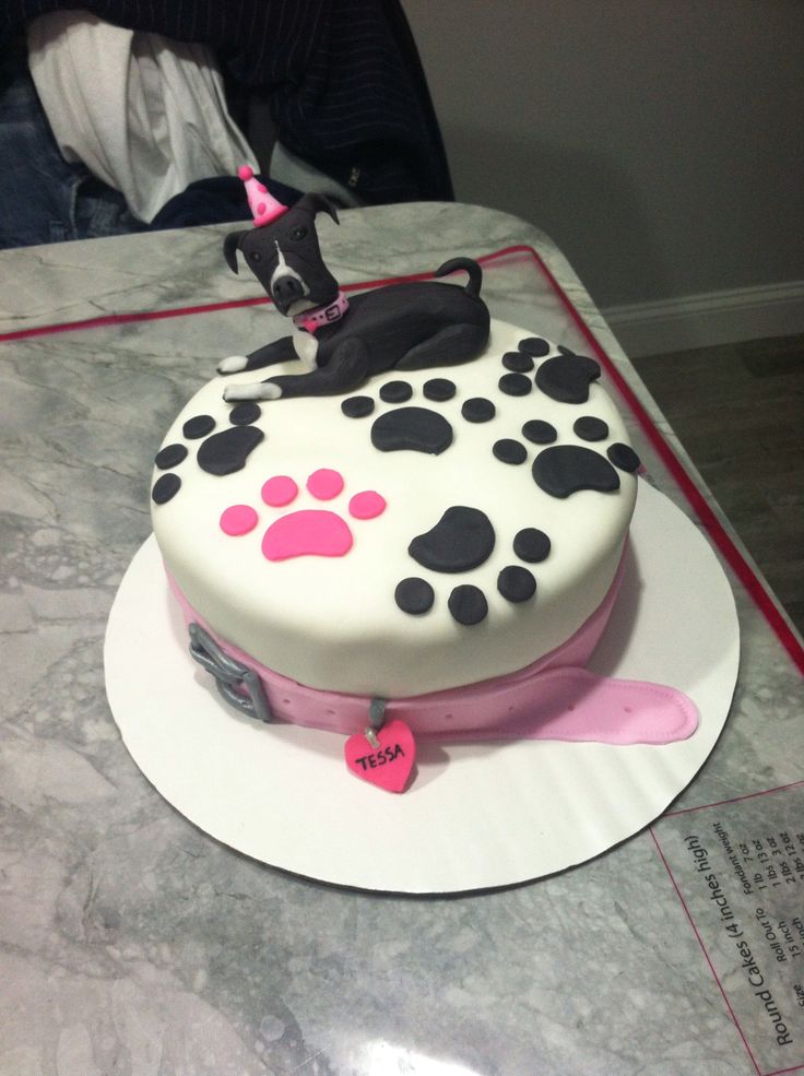 Pitbull Birthday Cake Pitbull Birthday Cake