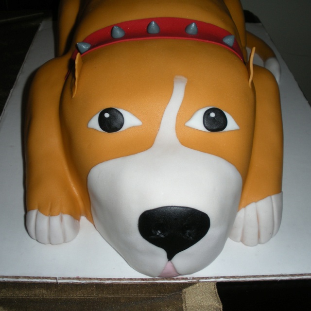 Pitbull Cake Pitbull Cake