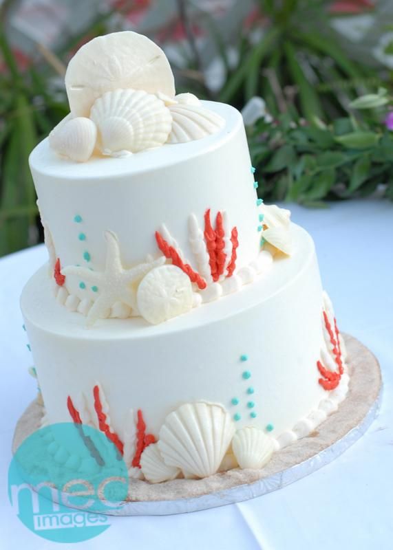 Teal and Coral Wedding Cake