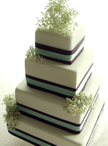 Wedding Cake with Baby Breath Wedding Cake with Baby Breath