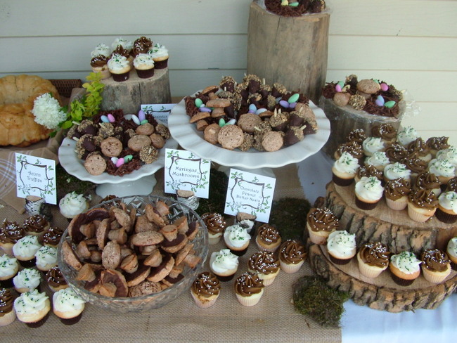 Woodland Theme Baby Shower Cake