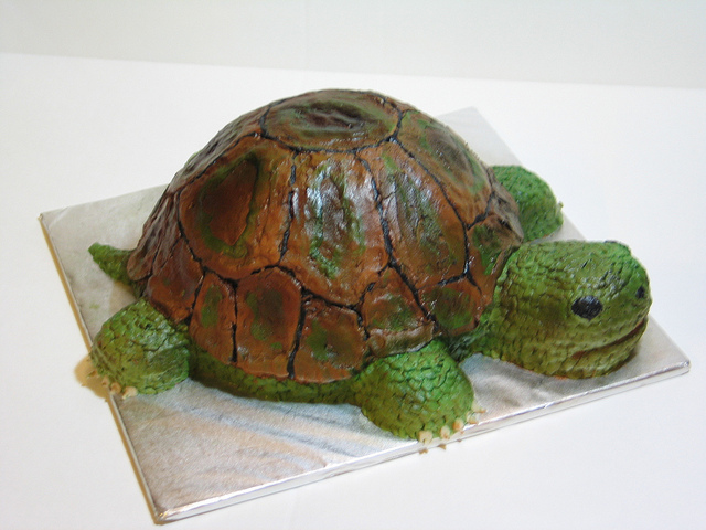 3D Turtle Cake