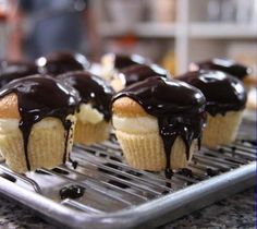 6 Photos of Lidia's Italy Boston Cream Cupcakes