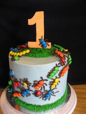 Bug 1st Birthday Cake