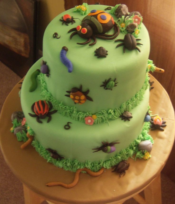 11 Photos of Bug Themed Birthday Cakes