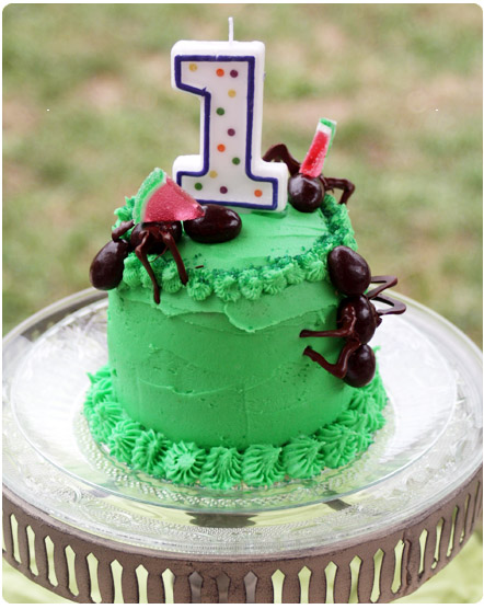 Bug Birthday Party Cake