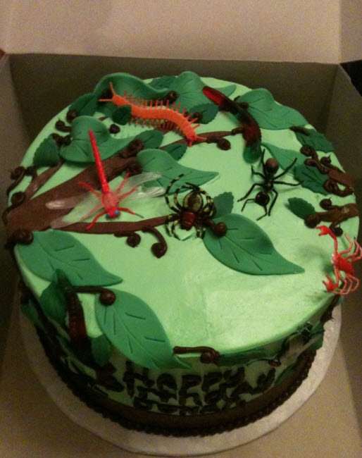 Bug Themed Birthday Cake