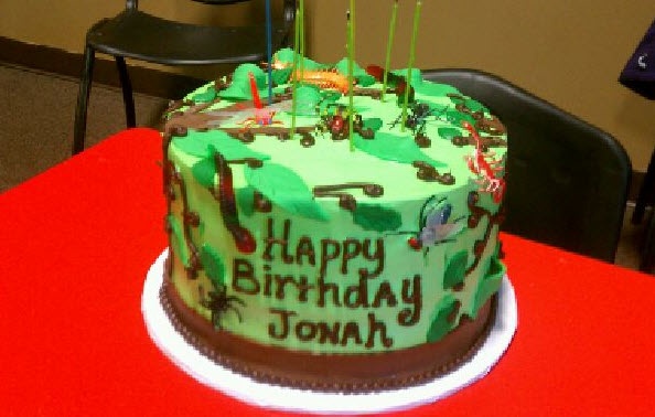 Bug Themed Birthday Cake