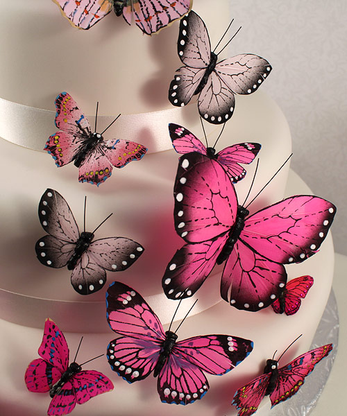 Butterfly Cake Decorations