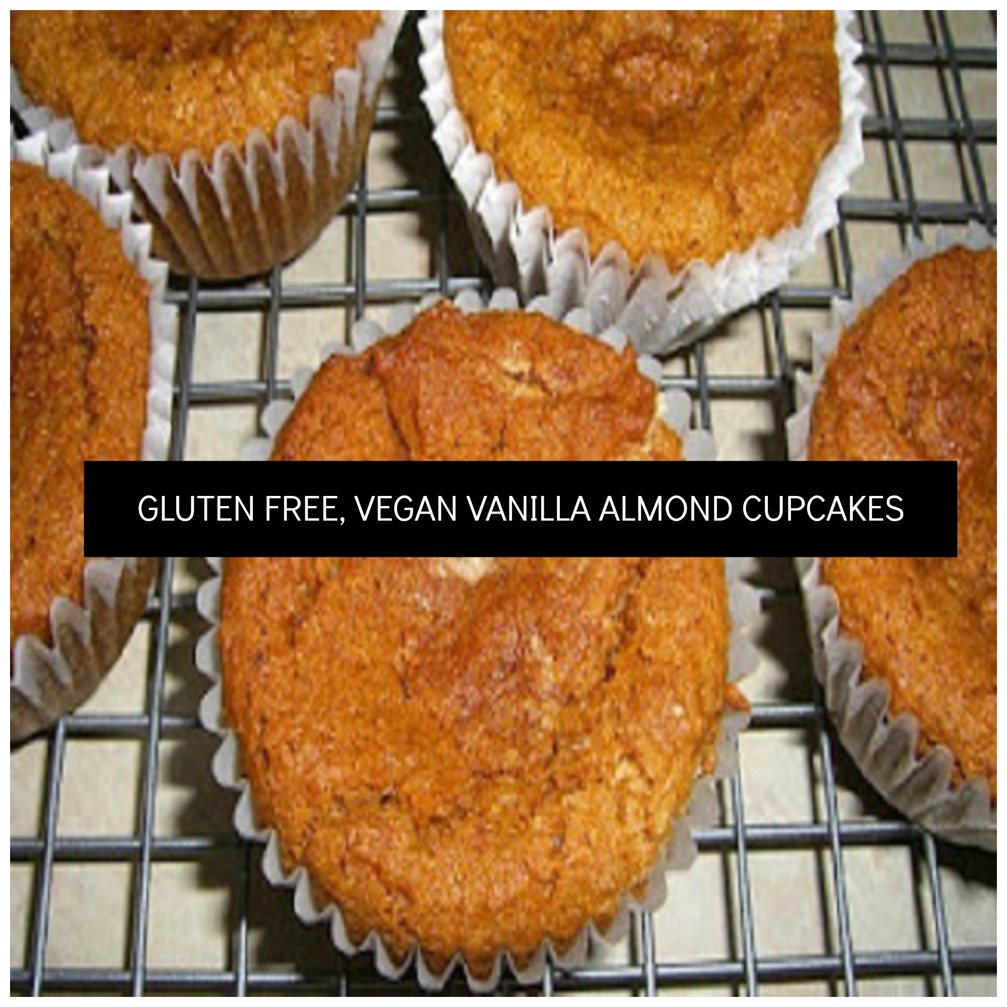 Gluten Free Vanilla Cupcakes