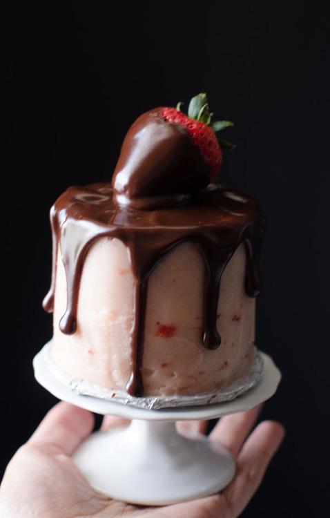 Mini Chocolate Strawberry Layer Cake Mini Chocolate Strawberry Layer Cake