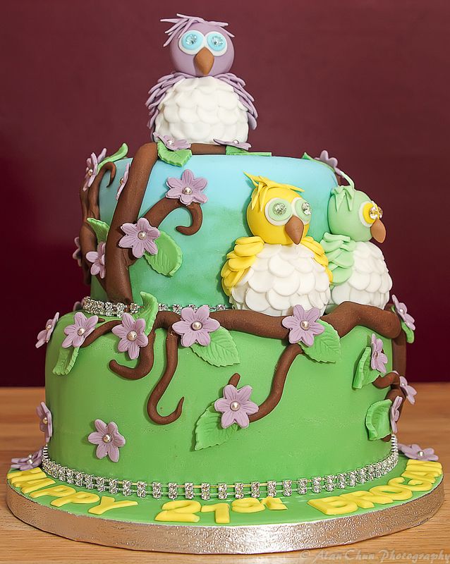 Owl Cake with Fondant Owl Cake with Fondant