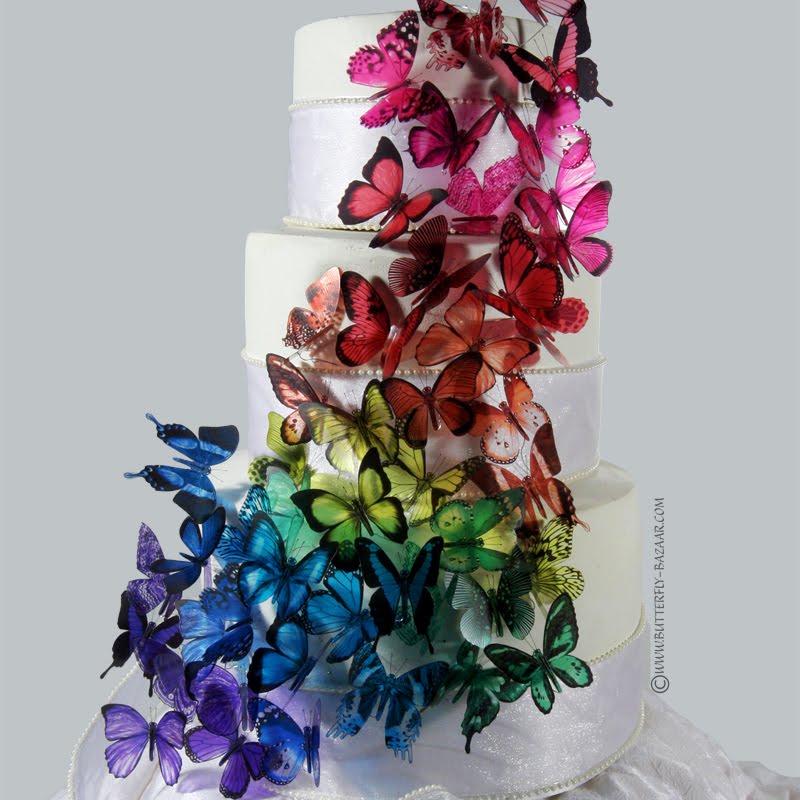 Rainbow Butterfly Wedding Cake