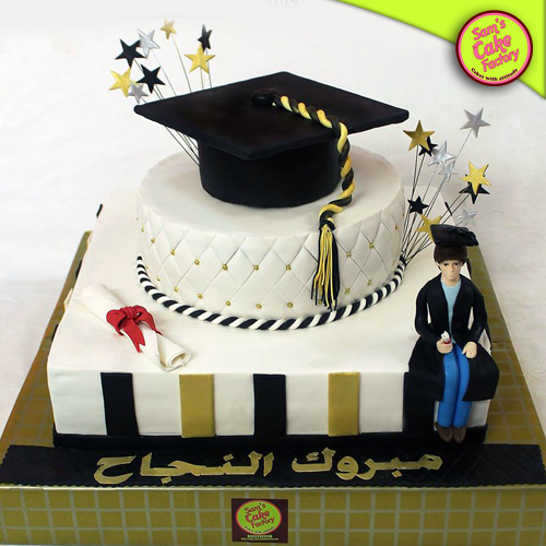 Sam's Graduation Cakes 2017