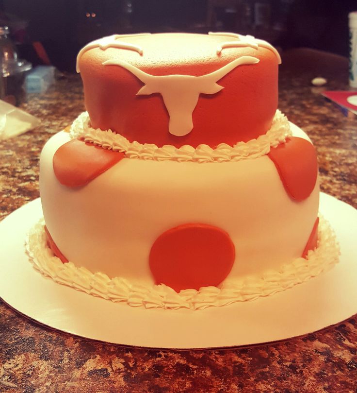 Texas Longhorn Cake