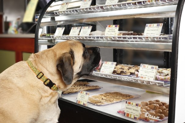 Three Dog Bakery Three Dog Bakery