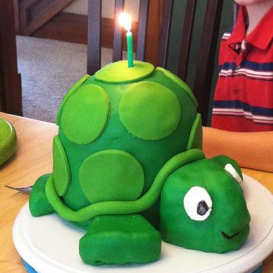 Turtle Birthday Cake Turtle Birthday Cake