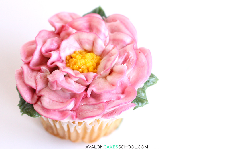Buttercream Flower Cupcake Buttercream Flower Cupcake
