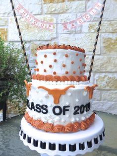 Cake Graduation for University of Texas at Austin