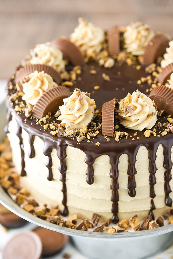 Chocolate Peanut Butter Cake