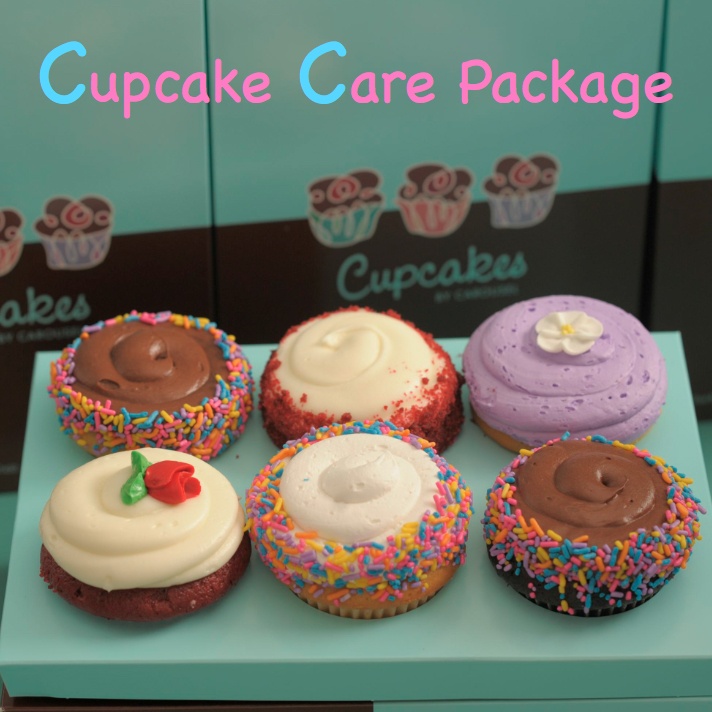 Cupcake Care Package Cupcake Care Package