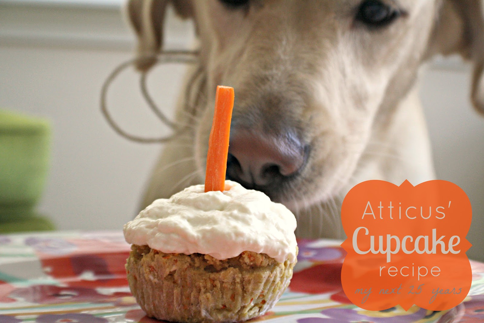 Dog Birthday Cupcake Recipe