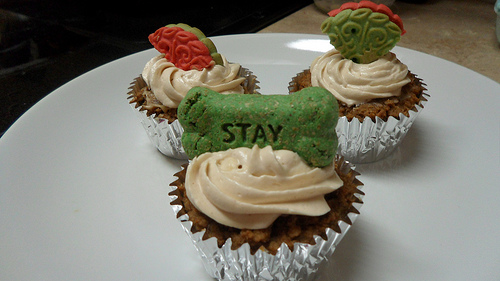 Dog Cupcakes Dog Cupcakes