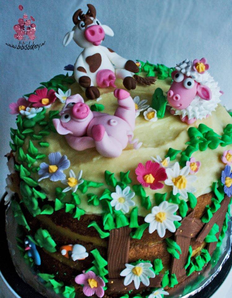 Farm Themed Baby Shower Cake Farm Themed Baby Shower Cake