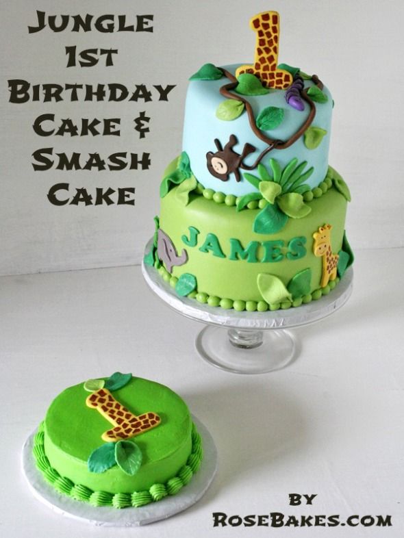 Safari Theme 1st Birthday Cake