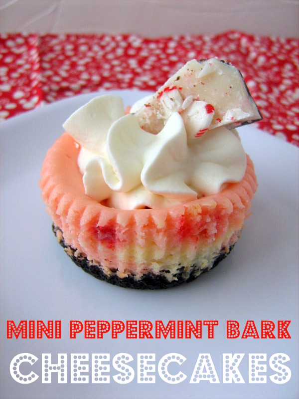 5 Photos of Mini Peppermint Cheesecakes 5 Photos of Mini Peppermint Cheesecakes