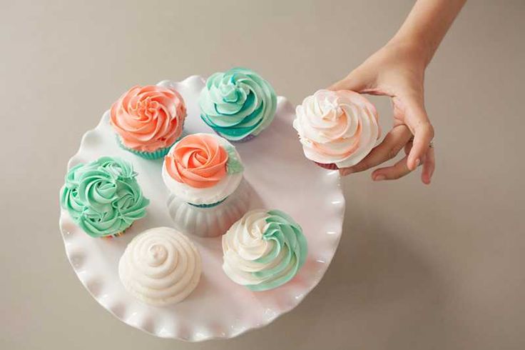 Wilton Cake Decorating Cupcakes